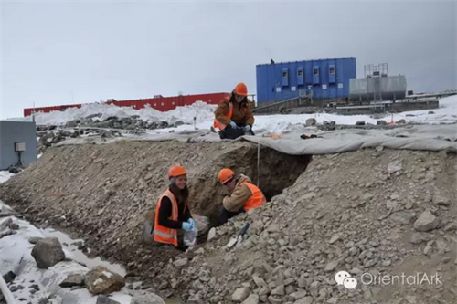生物堆土壤修复技术