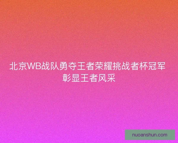 北京WB战队勇夺王者荣耀挑战者杯冠军 彰显王者风采