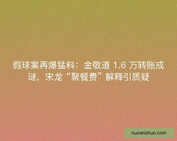 假球案再爆猛料：金敬道 1.6 万转账成谜，宋龙 “聚餐费” 解释引质疑